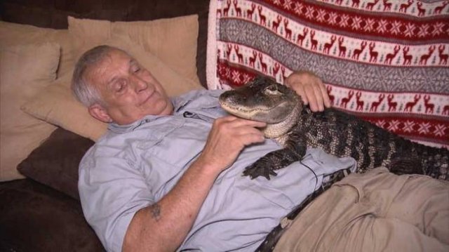 Acid Picdump. Part 2 (92 pics)