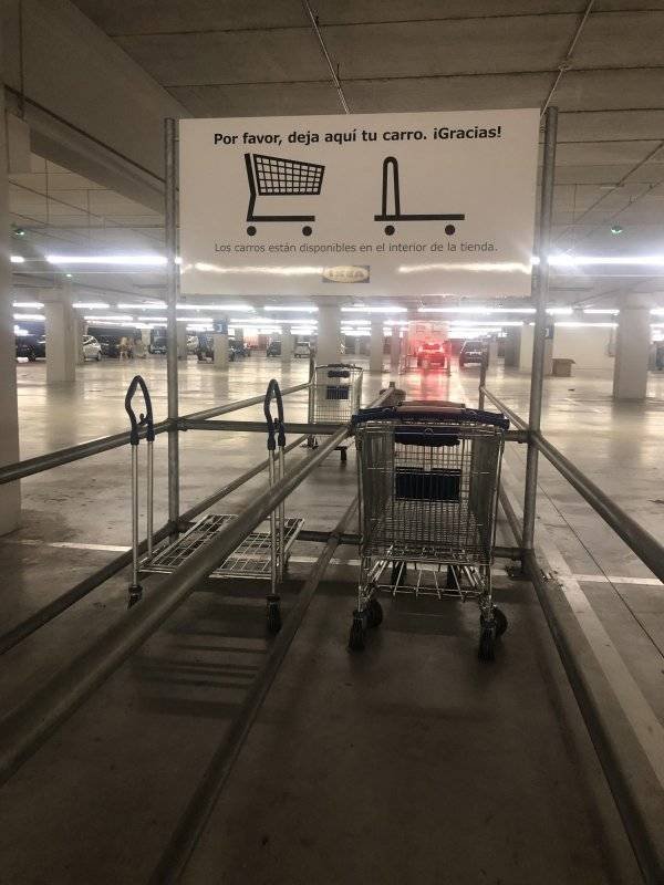 I Do What I Want (40 pics)