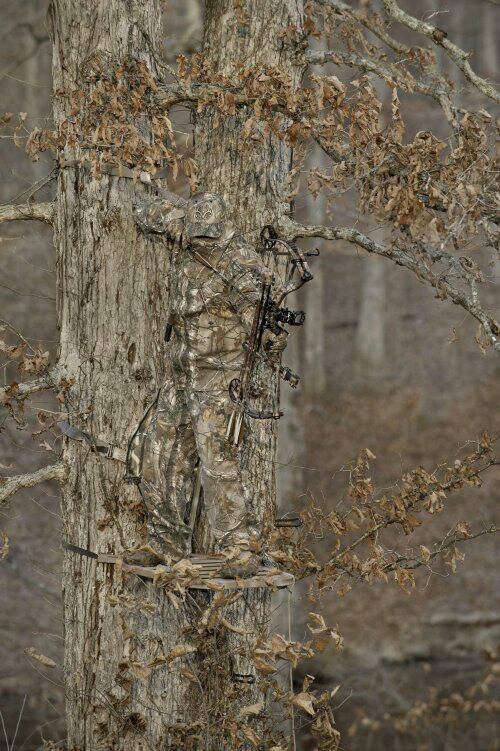 Amazing And Unbelievable Pictures (51 pics)