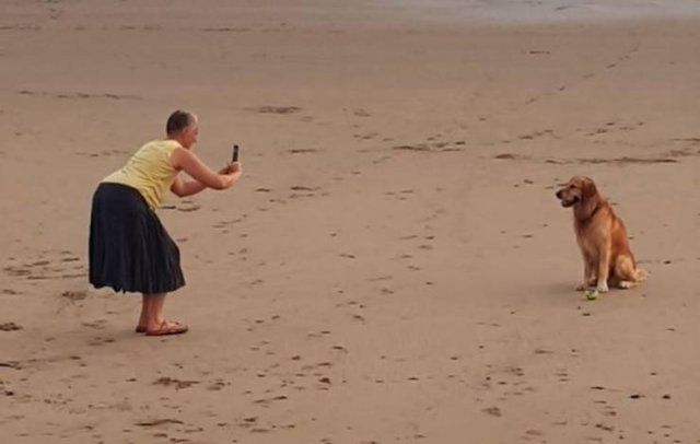 Everyone Needs A Pet (20 pics) Everyone Needs A Pet (20 pics)