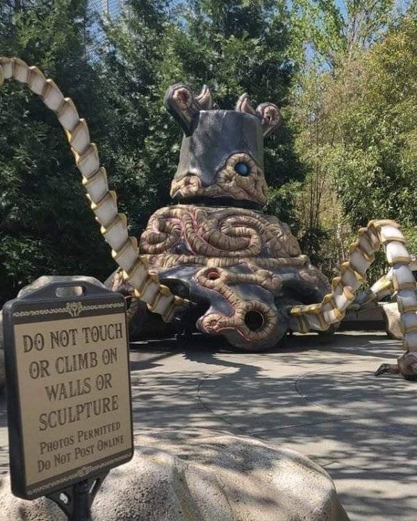 I Do What I Want (40 pics)