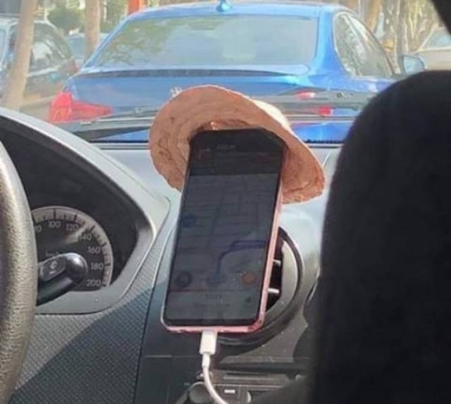 It's Very Creative (50 pics)