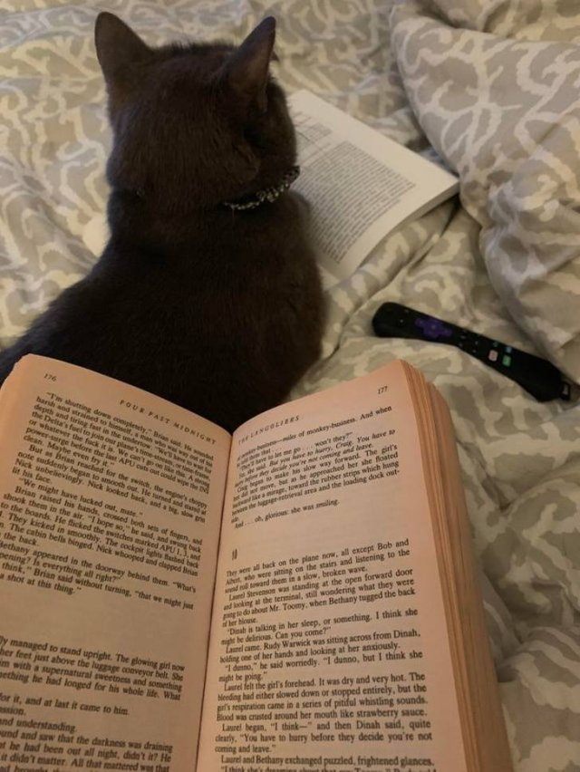 Everyone Needs A Pet (20 pics) Everyone Needs A Pet (20 pics)