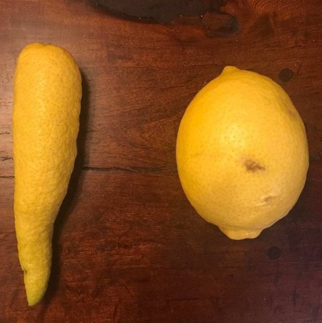 Amazing And Unbelievable Pictures (51 pics)