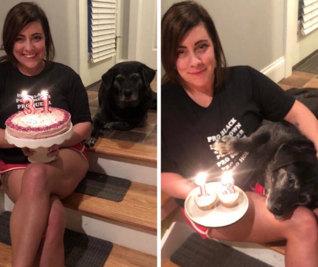 Everyone Needs A Pet (20 pics) Everyone Needs A Pet (20 pics)