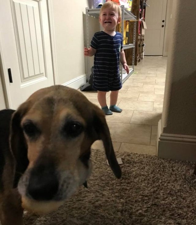 Everyone Needs A Pet (20 pics) Everyone Needs A Pet (20 pics)