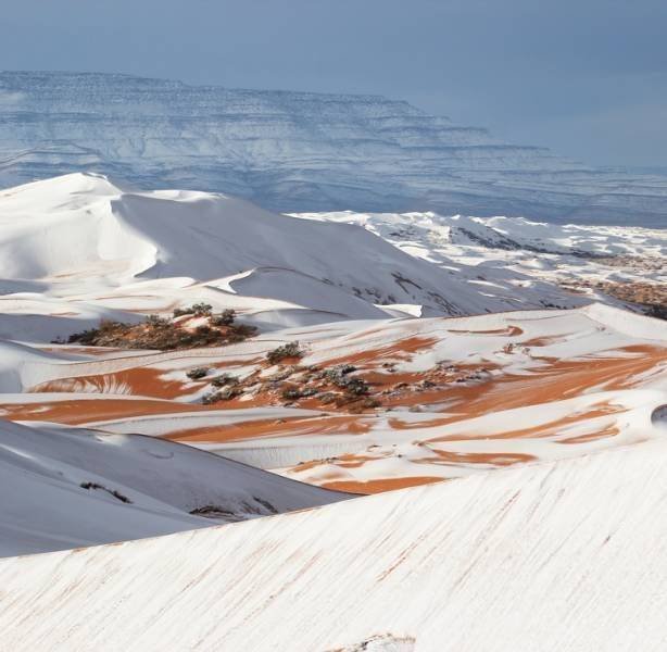 Amazing And Unbelievable Pictures (51 pics)