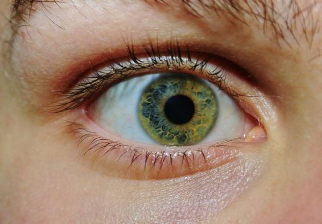 Amazing And Unbelievable Pictures (51 pics)