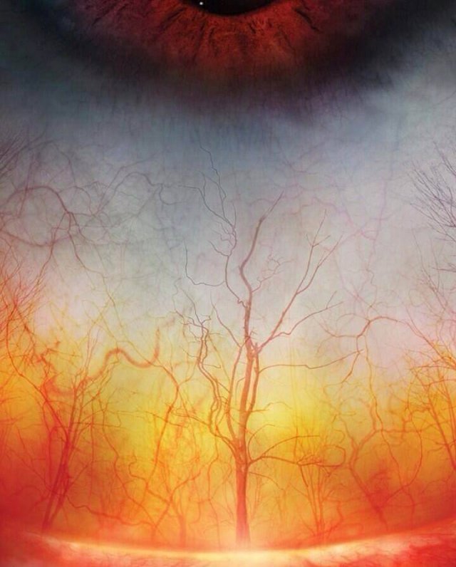 Amazing And Unbelievable Pictures (51 pics)