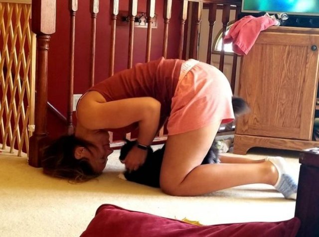 Everyone Needs A Pet (20 pics) Everyone Needs A Pet (20 pics)