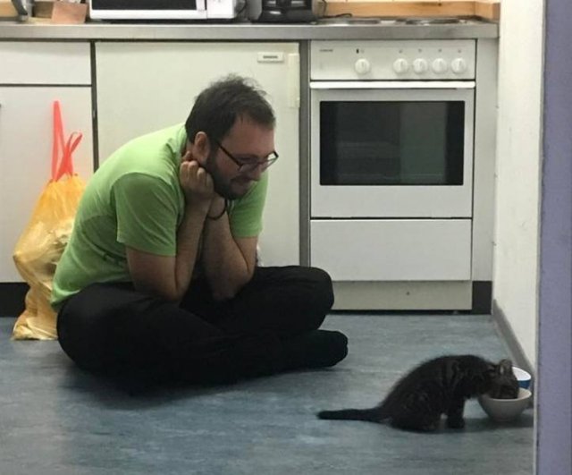 Everyone Needs A Pet (20 pics) Everyone Needs A Pet (20 pics)