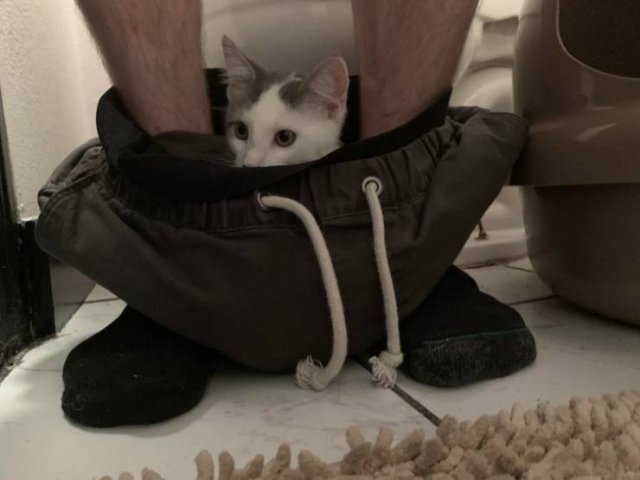 Everyone Needs A Pet (20 pics) Everyone Needs A Pet (20 pics)