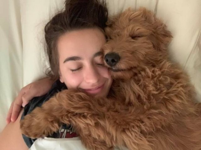 Everyone Needs A Pet (20 pics) Everyone Needs A Pet (20 pics)