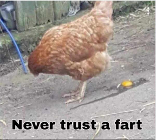 Dirty Humor (40 pics)