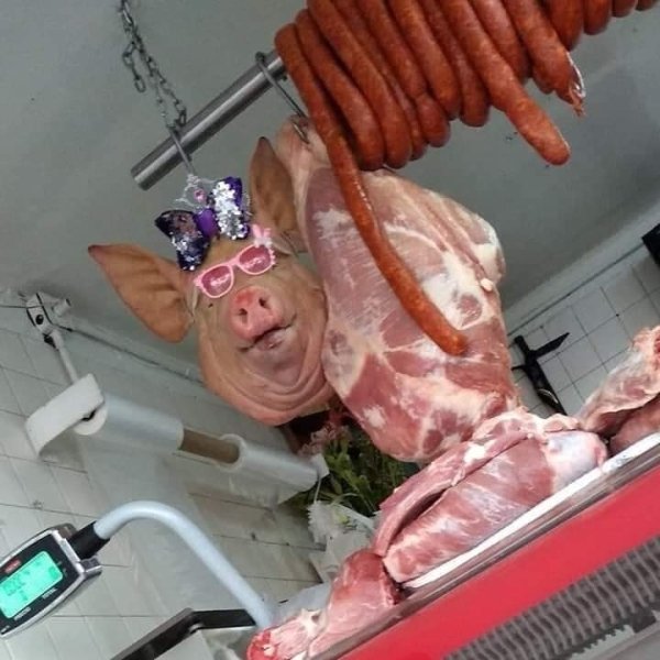 Dirty Humor (40 pics)