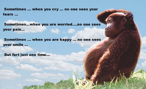 Dirty Humor (40 pics)