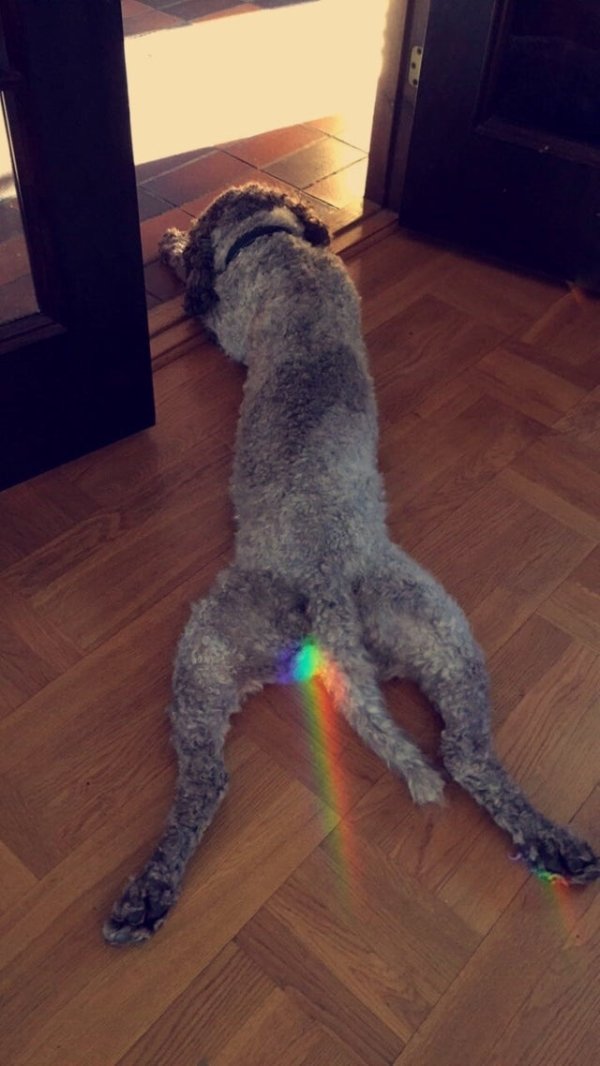 Dirty Humor (40 pics)