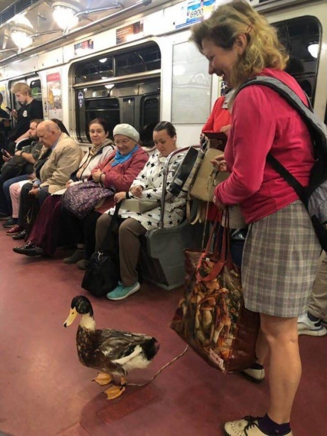 Acid Picdump. Part 1 (110 pics)