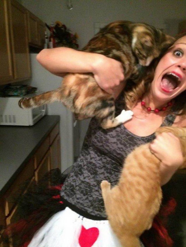 Acid Picdump. Part 1 (110 pics)