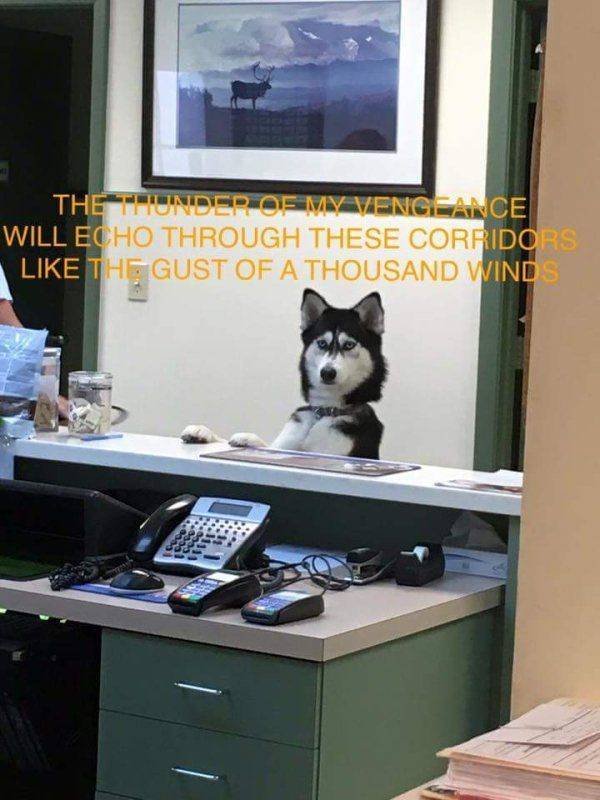 Acid Picdump. Part 1 (110 pics)