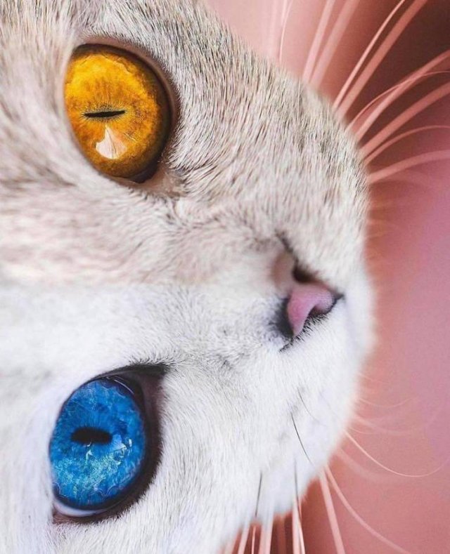 Acid Picdump. Part 1 (110 pics)