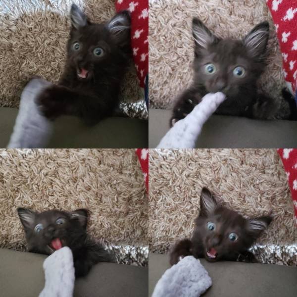 Acid Picdump. Part 1 (110 pics)