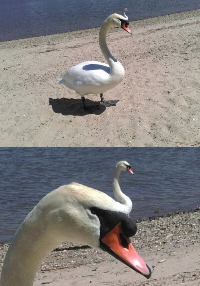 What A Timing! (20 pics)