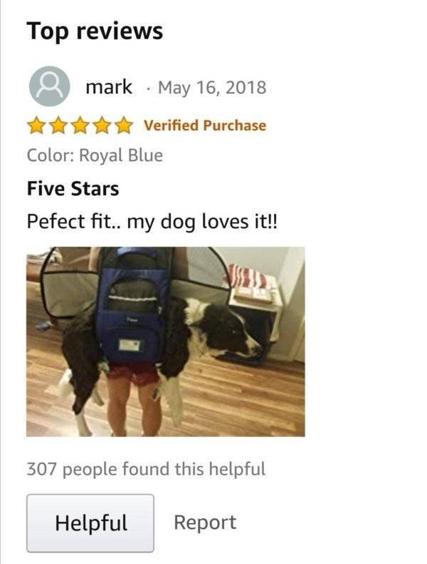 Funny Amazon Reviews (31 pics)