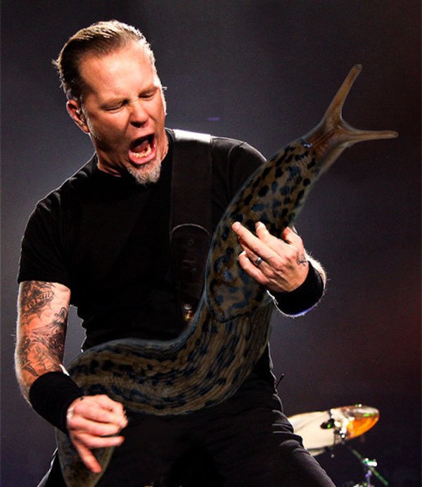 Guitar Solos Replaced With Giant Slugs (25 pics)