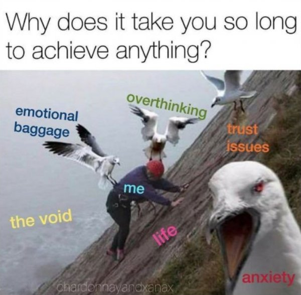 Memes About Anxiety (34 pics)