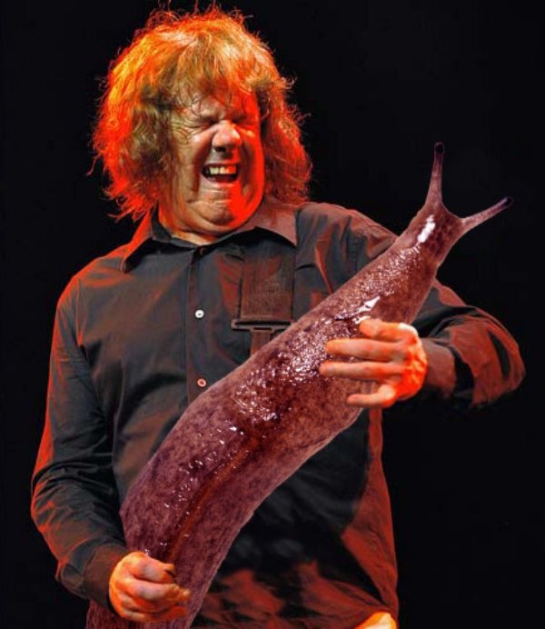 Guitar Solos Replaced With Giant Slugs (25 pics)