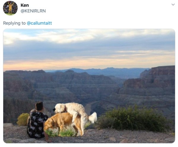 One Guy Asked The Internet To Remove His Ex From A Photo. And You Know What Happened Next (19 pics)