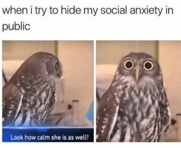 Memes About Anxiety (34 pics)