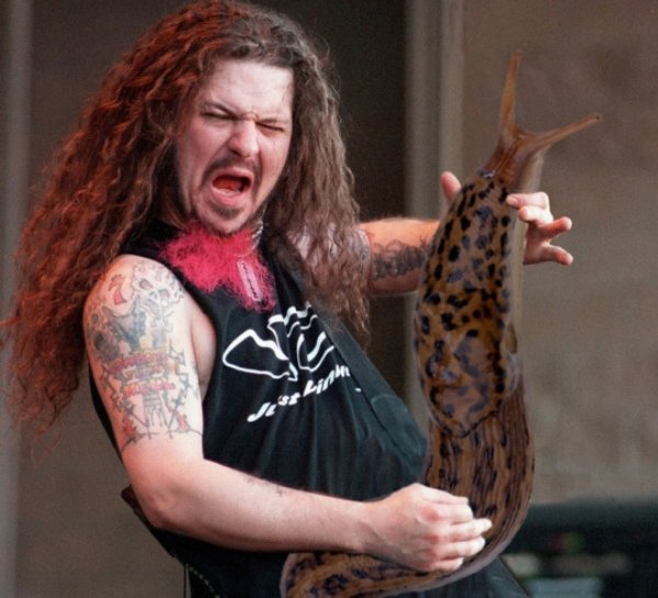 Guitar Solos Replaced With Giant Slugs (25 pics)