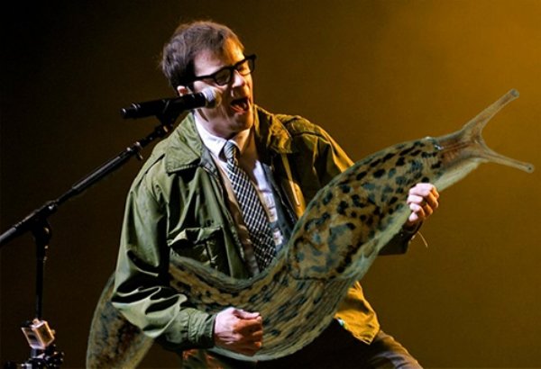 Guitar Solos Replaced With Giant Slugs (25 pics)