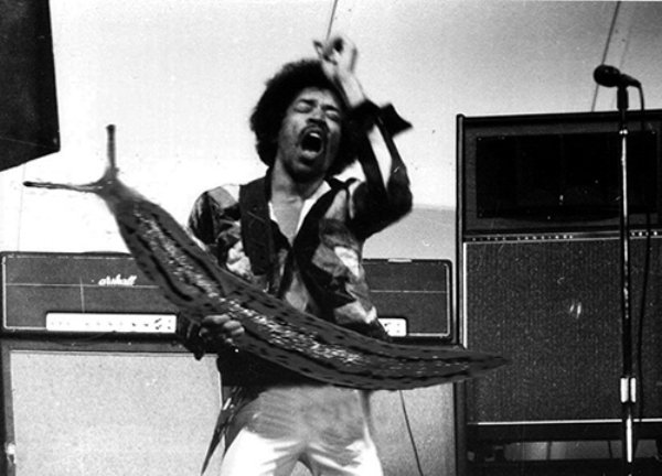 Guitar Solos Replaced With Giant Slugs (25 pics)