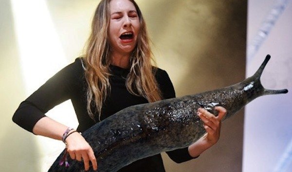 Guitar Solos Replaced With Giant Slugs (25 pics)