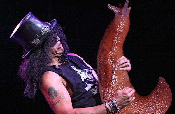 Guitar Solos Replaced With Giant Slugs (25 pics)
