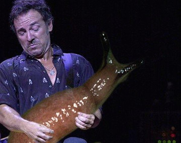 Guitar Solos Replaced With Giant Slugs (25 pics)