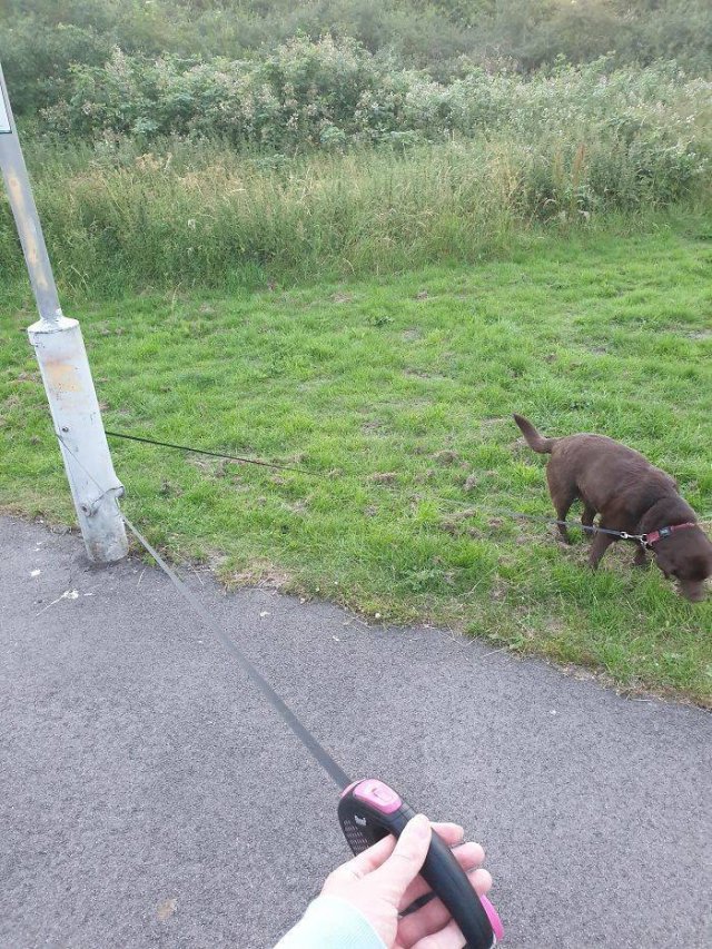 Things We Hate (50 pics)