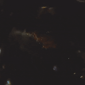 Acid Gifdump, August 7 (25 gifs)