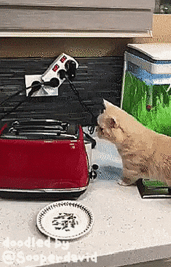 Acid Gifdump, August 7 (25 gifs)