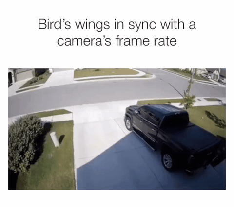 Synced (16 gifs)