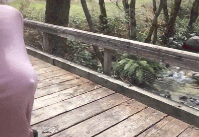 Who Needs A Bra Anyway (40 pics)