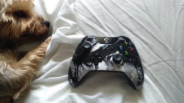 Pictures For Gamers (47 pics)