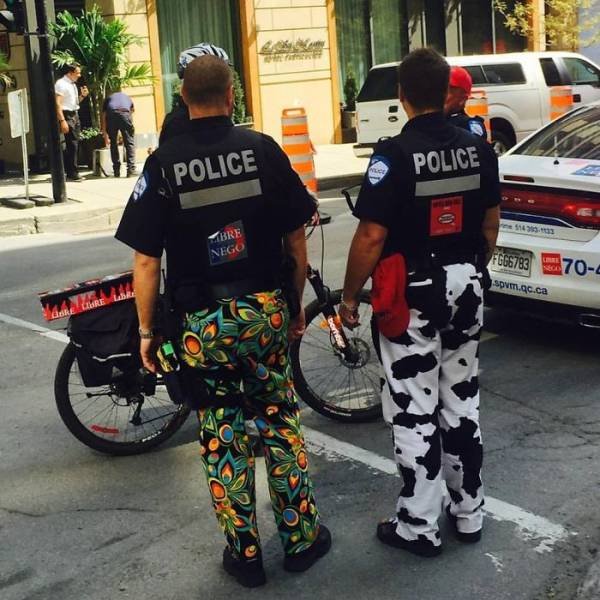 You Know You In Canada When You See Something Like This (50 pics)