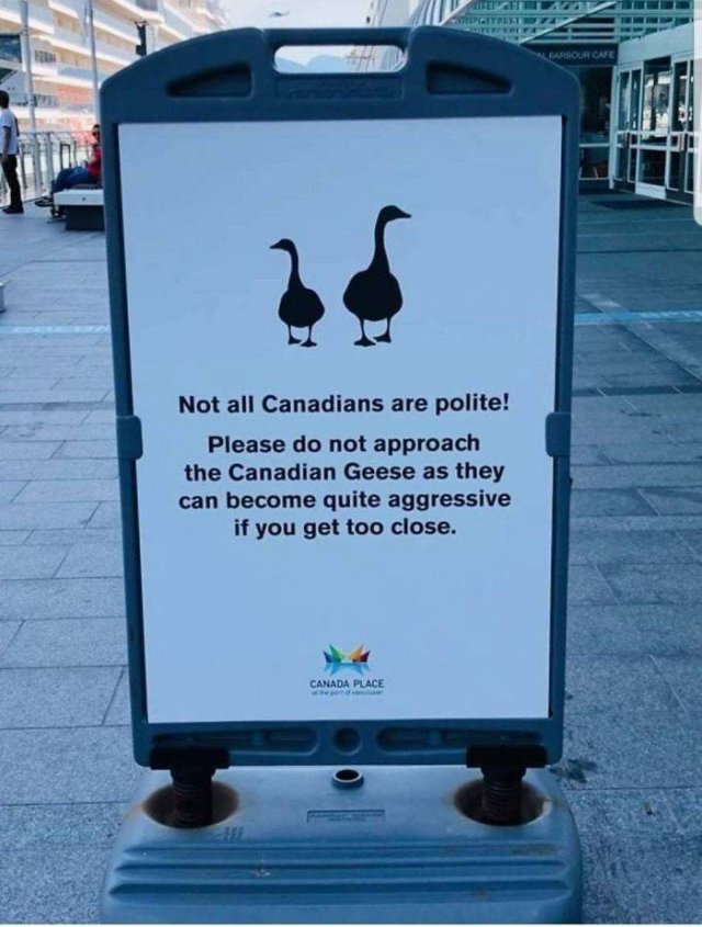 You Know You In Canada When You See Something Like This (50 pics)