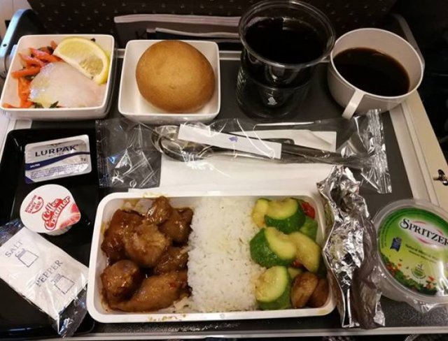 Economy Class Food Vs Business Class Food (38 pics)