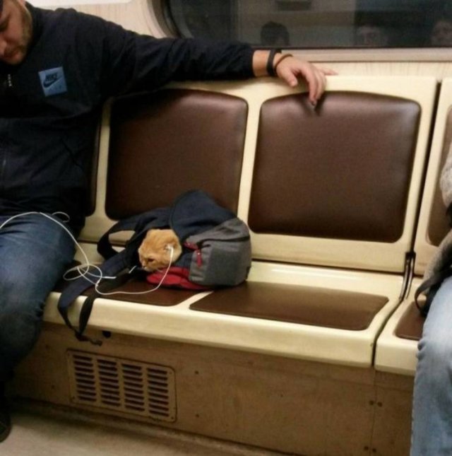 Acid Picdump. Part 2 (92 pics)