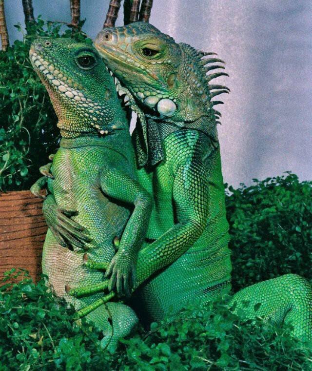 Acid Picdump. Part 2 (92 pics)